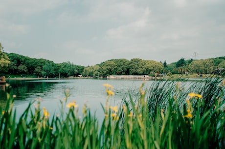 三坐标测量机 复杂型面检测