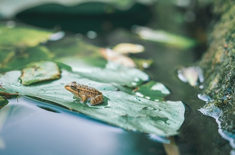 阴宅风水实例，轻轻松松了解风水知识