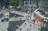 谷雨图片(让你看到谷雨图片，就让你明白什么是生命的力量)